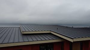 Best Wood Shake Roofing  in Dixon, CA